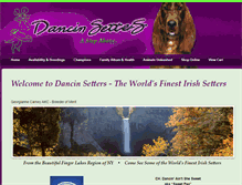 Tablet Screenshot of dancinsetters.com